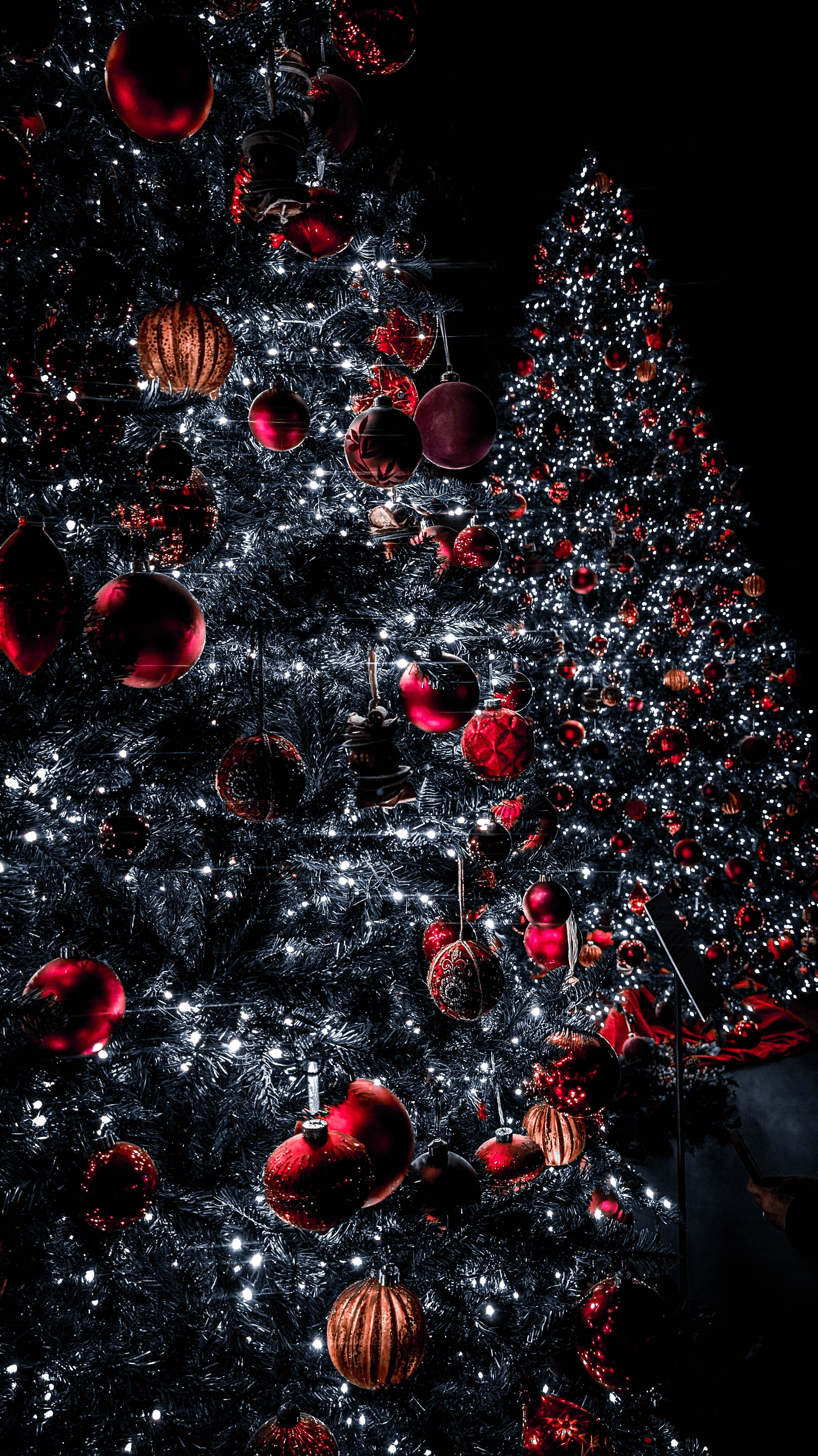 Chatsworth_in_Christmas